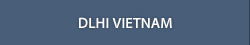 DLHI VIETNAM
